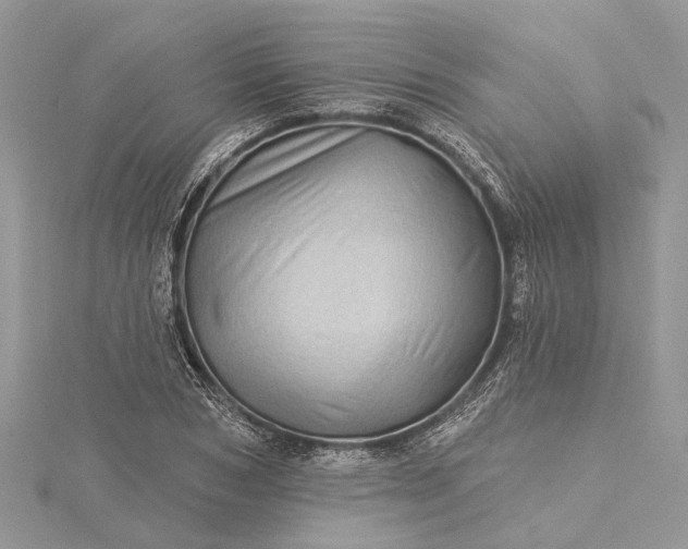 X0000115520978200911201655