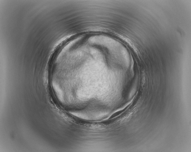 X0000115520979200911201655