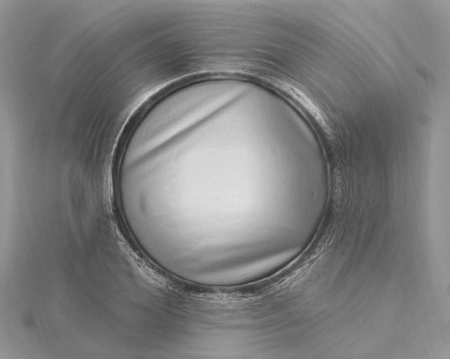 X0000115520980200911201655