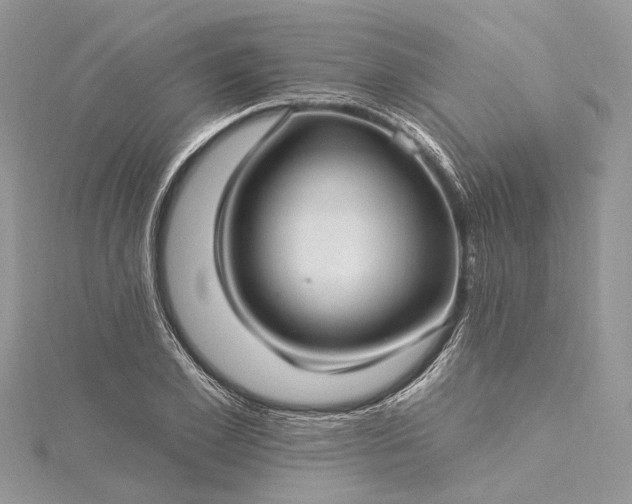 X0000115520981200911201655