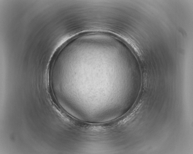 X0000115520982200911201655