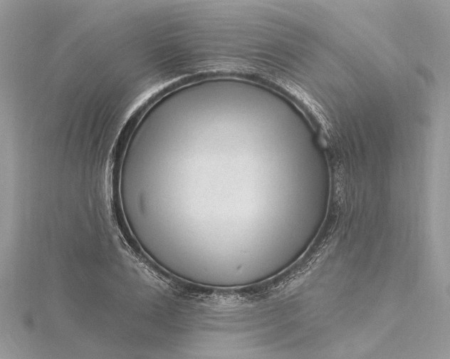 X0000115520983200911201655