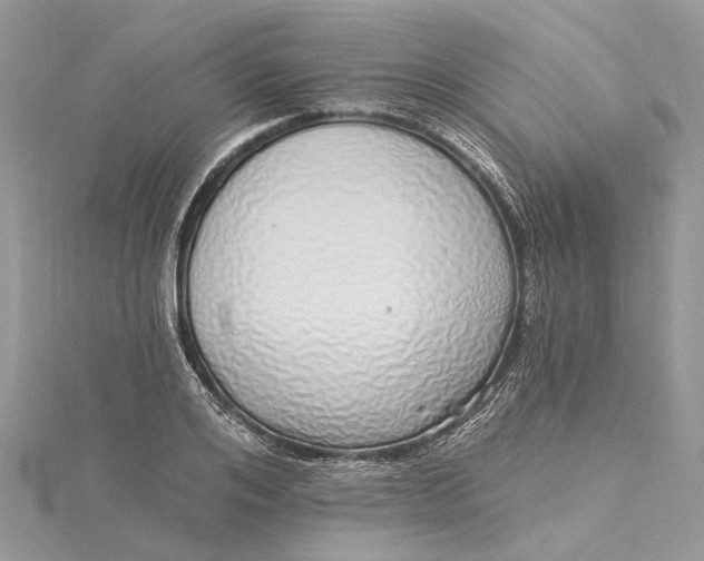 X0000115520984200911201655