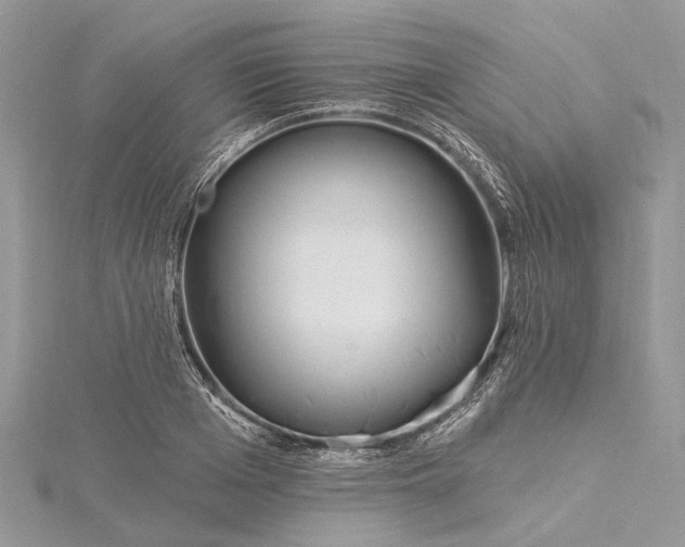 X0000115520985200911201655