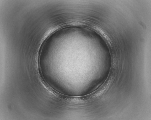 X0000115520986200911201655