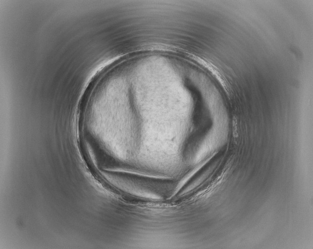 X0000115520987200911201655