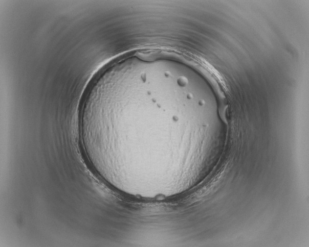 X0000115520988200911201655