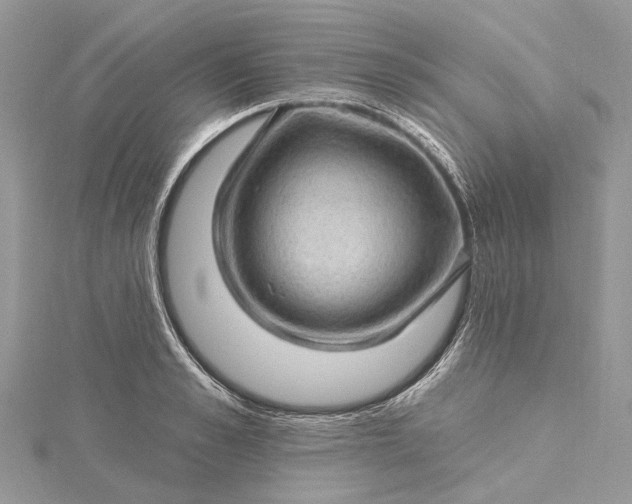 X0000115520989200911201655