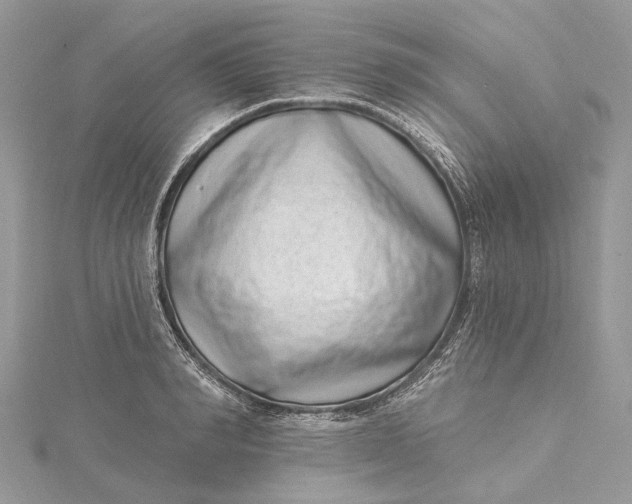 X0000115520990200911201655