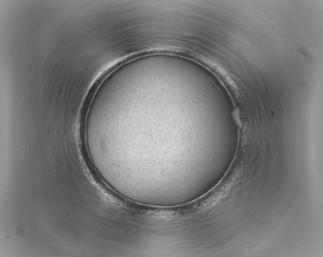 X0000115520991200911201655