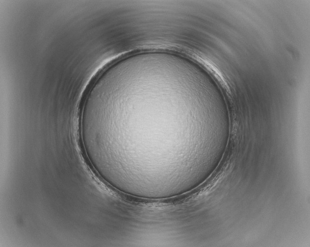 X0000115520992200911201655