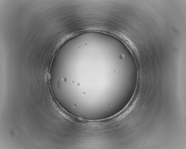 X0000115520993200911201655