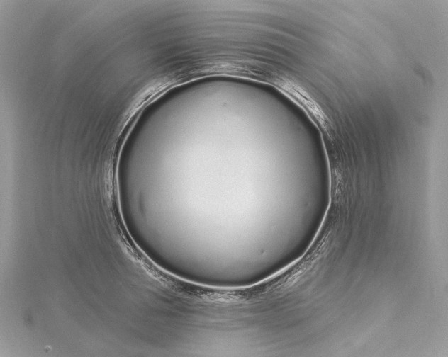 X0000115520994200911201655