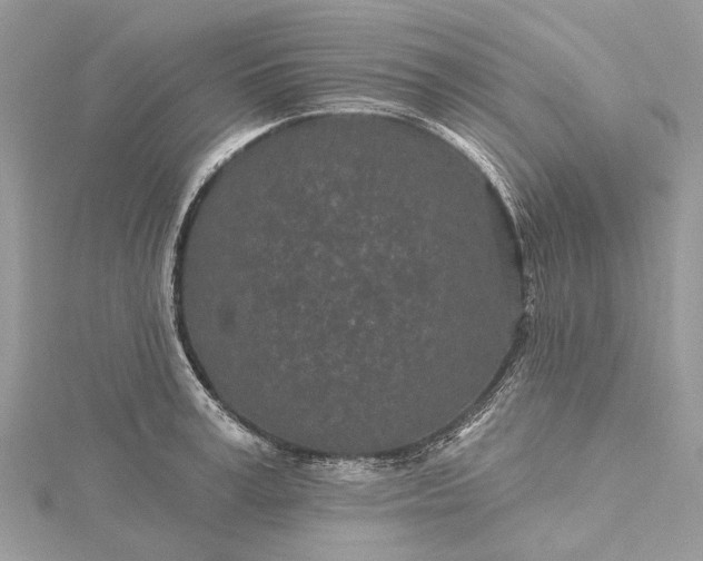 X0000115520995200911201655