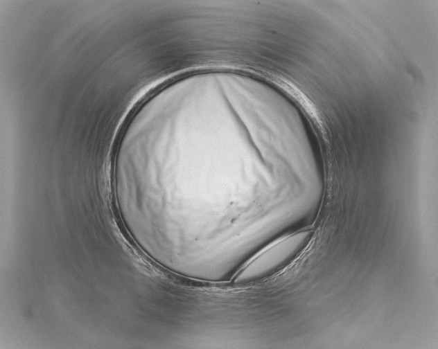 X0000115520996200911201655