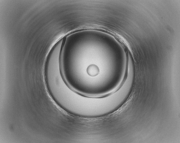 X0000115520997200911201655