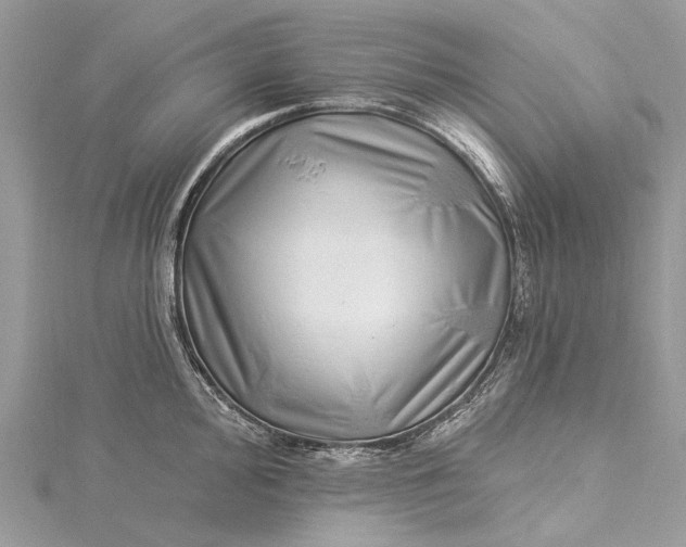 X0000115521000200911201655