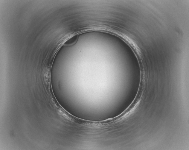 X0000115521001200911201655