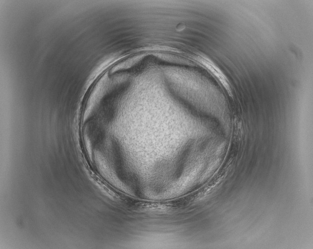 X0000115521002200911201655