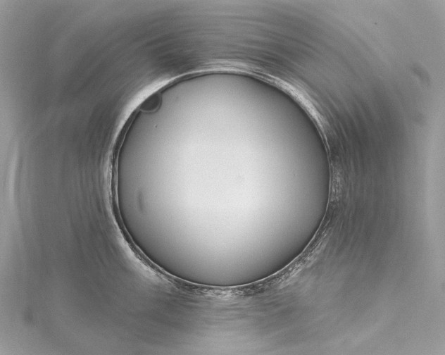 X0000115521003200911201655