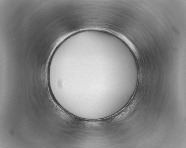 X0000115521004200911201655