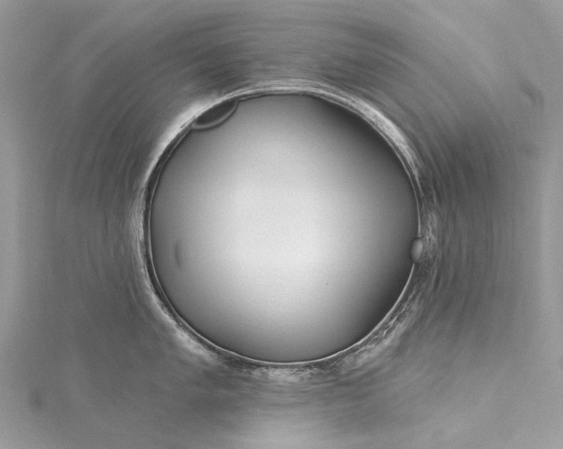 X0000115521005200911201655