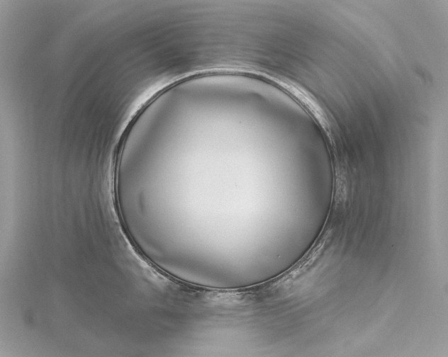 X0000115521006200911201655