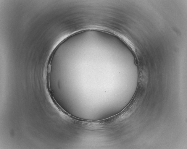 X0000115521007200911201655