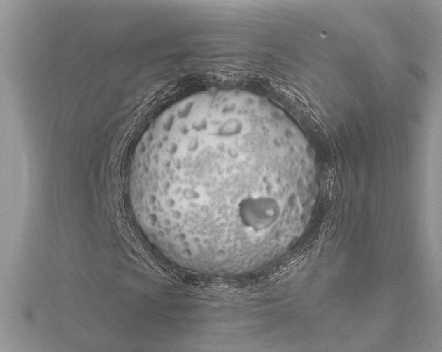 X0000115521009200911201654