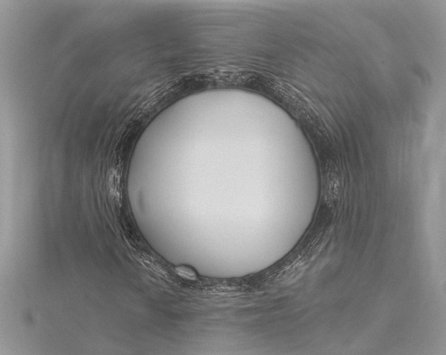 X0000115521010200911201654