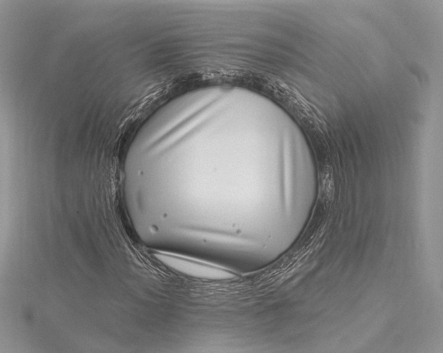 X0000115521012200911201654