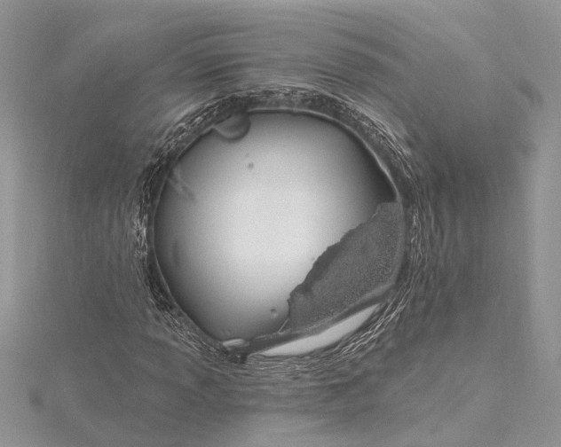 X0000115521013200911201655