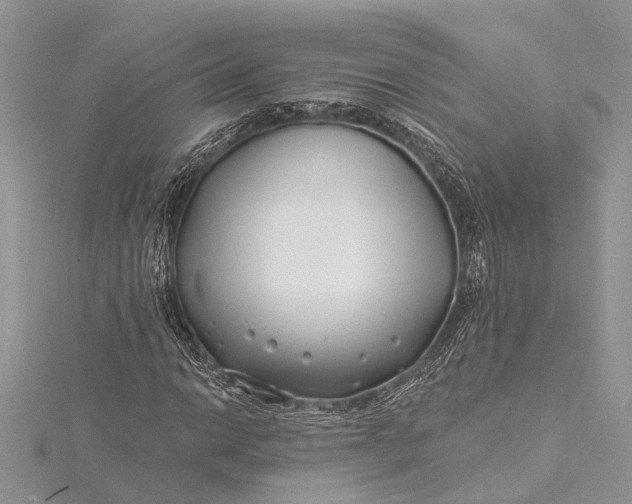 X0000115521014200911201655