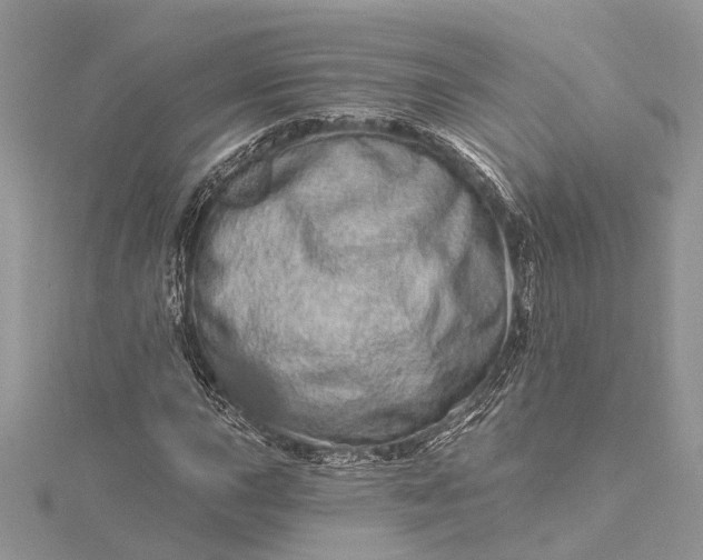 X0000115521015200911201655