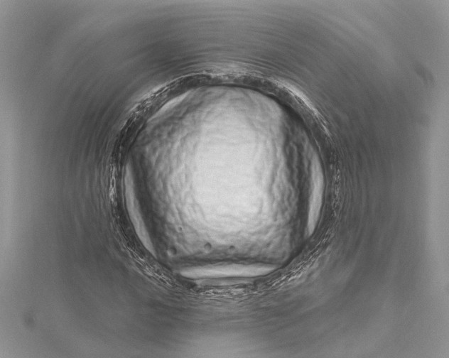 X0000115521016200911201655