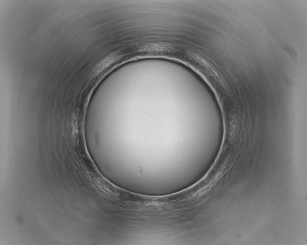 X0000115521017200911201655