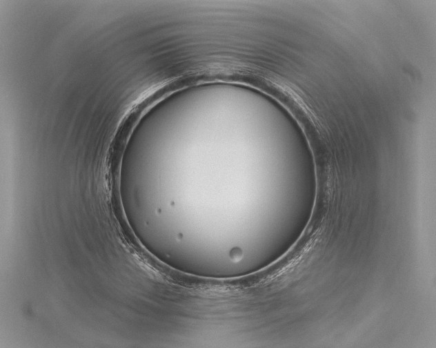 X0000115521018200911201655