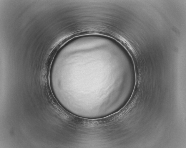 X0000115521019200911201655