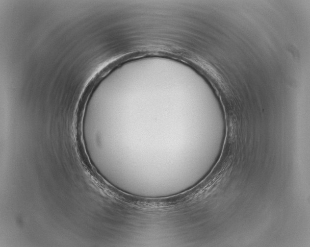 X0000115521020200911201655