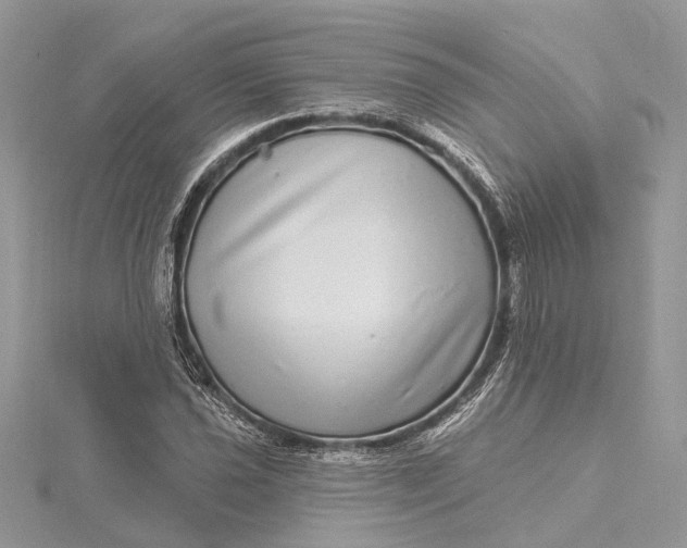 X0000115521021200911201655