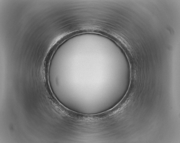 X0000115521022200911201655