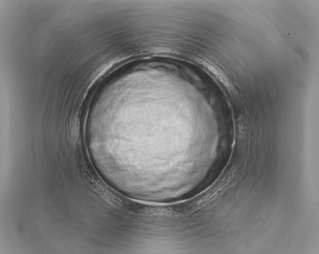 X0000115521023200911201655