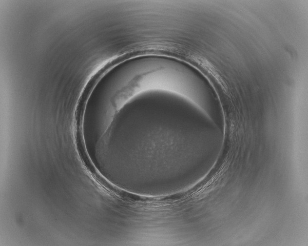 X0000115521024200911201655