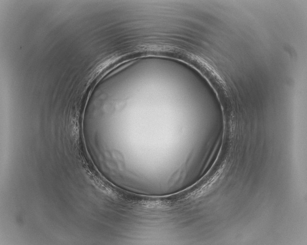 X0000115521025200911201655