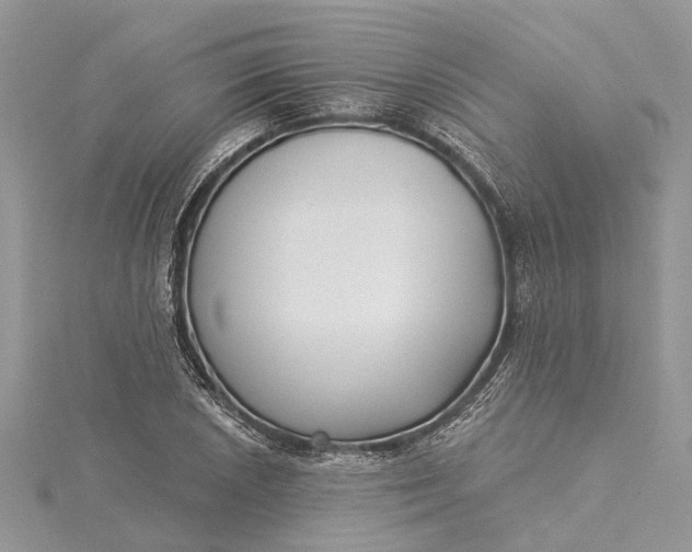 X0000115521026200911201655