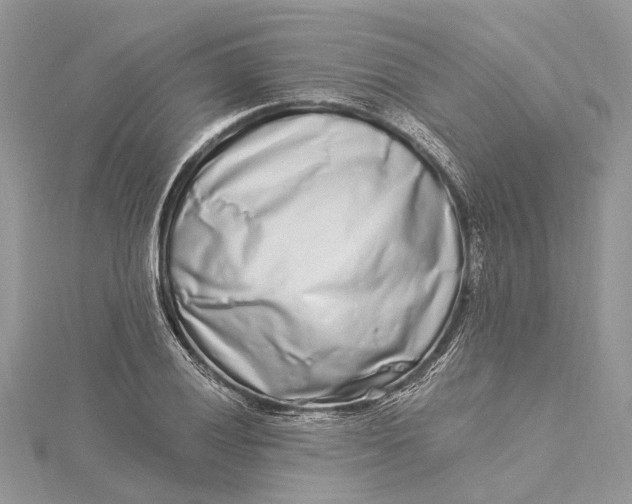 X0000115521028200911201655