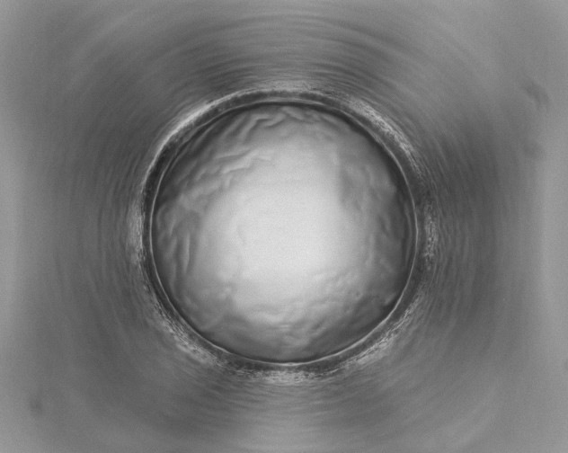 X0000115521029200911201655