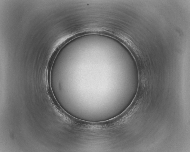 X0000115521030200911201655