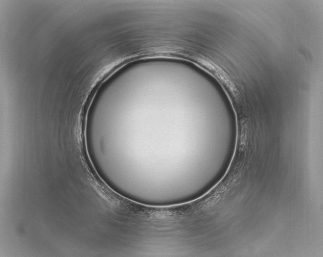 X0000115521031200911201655