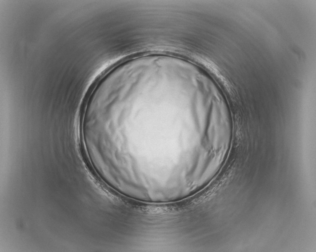 X0000115521032200911201655